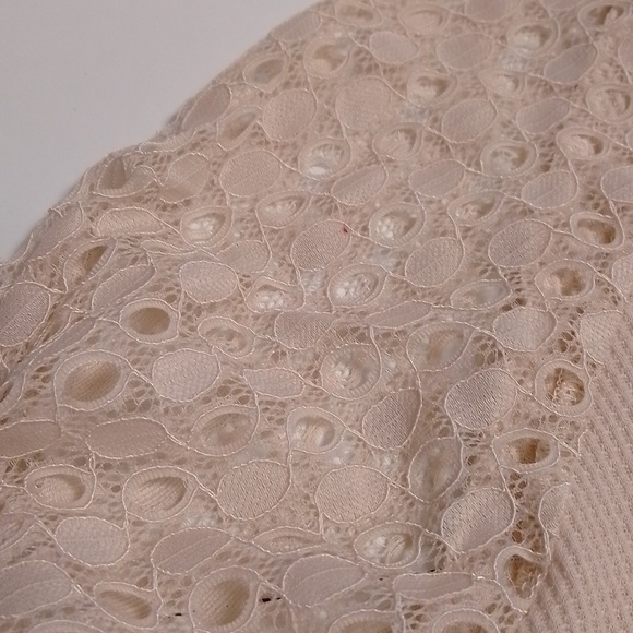 NWT Miholl beige  top with lace sleeves size L woman great for spring - Picture 3 of 5